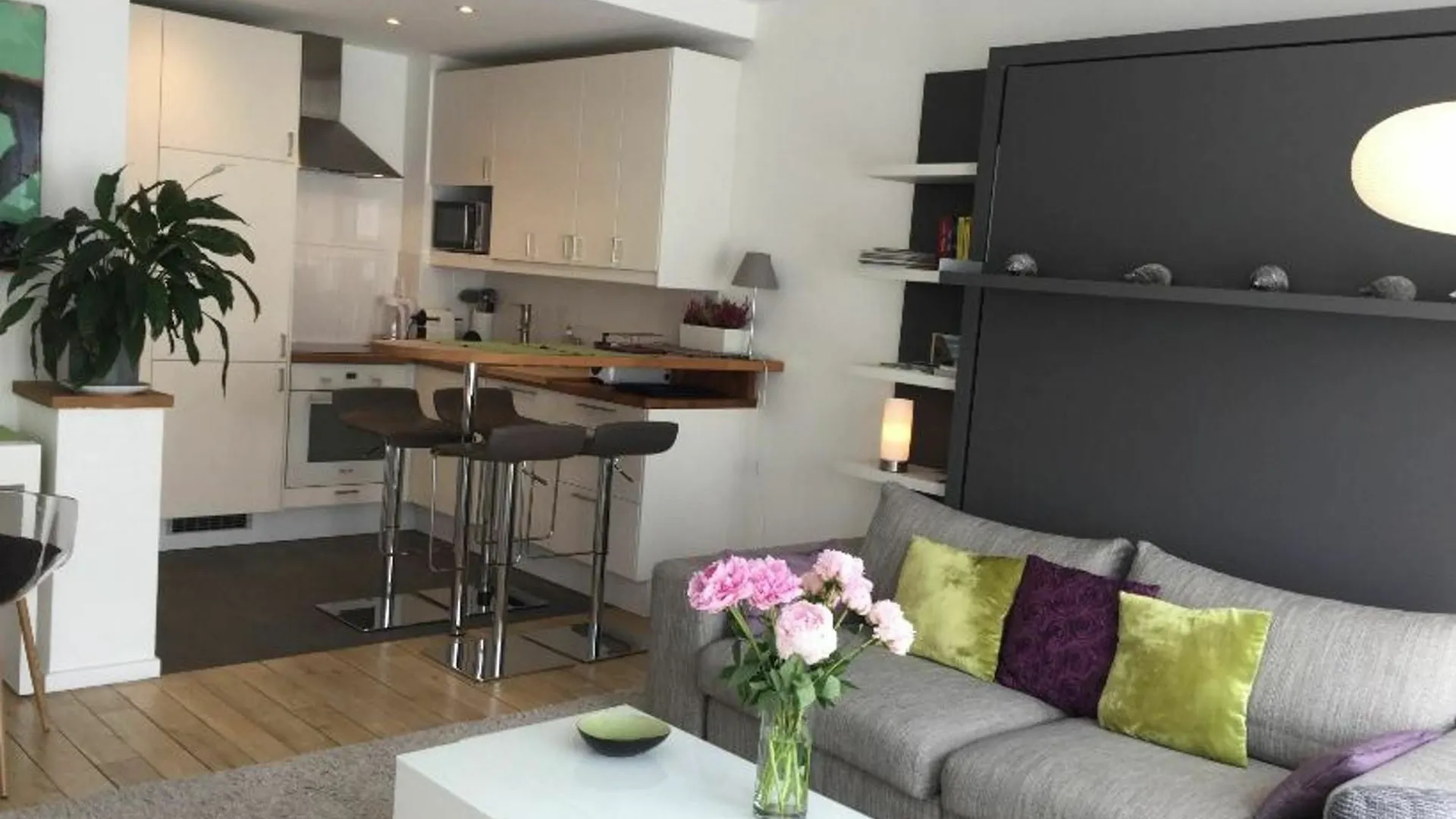 With One Bedroom In Paris, With Wonderful View, Furnish Paris